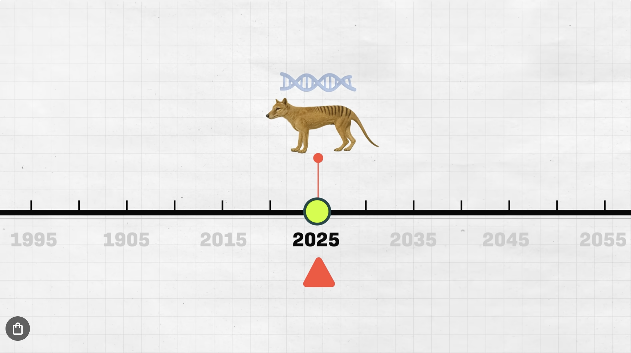 The Real Reason We Should Revive Extinct Animals