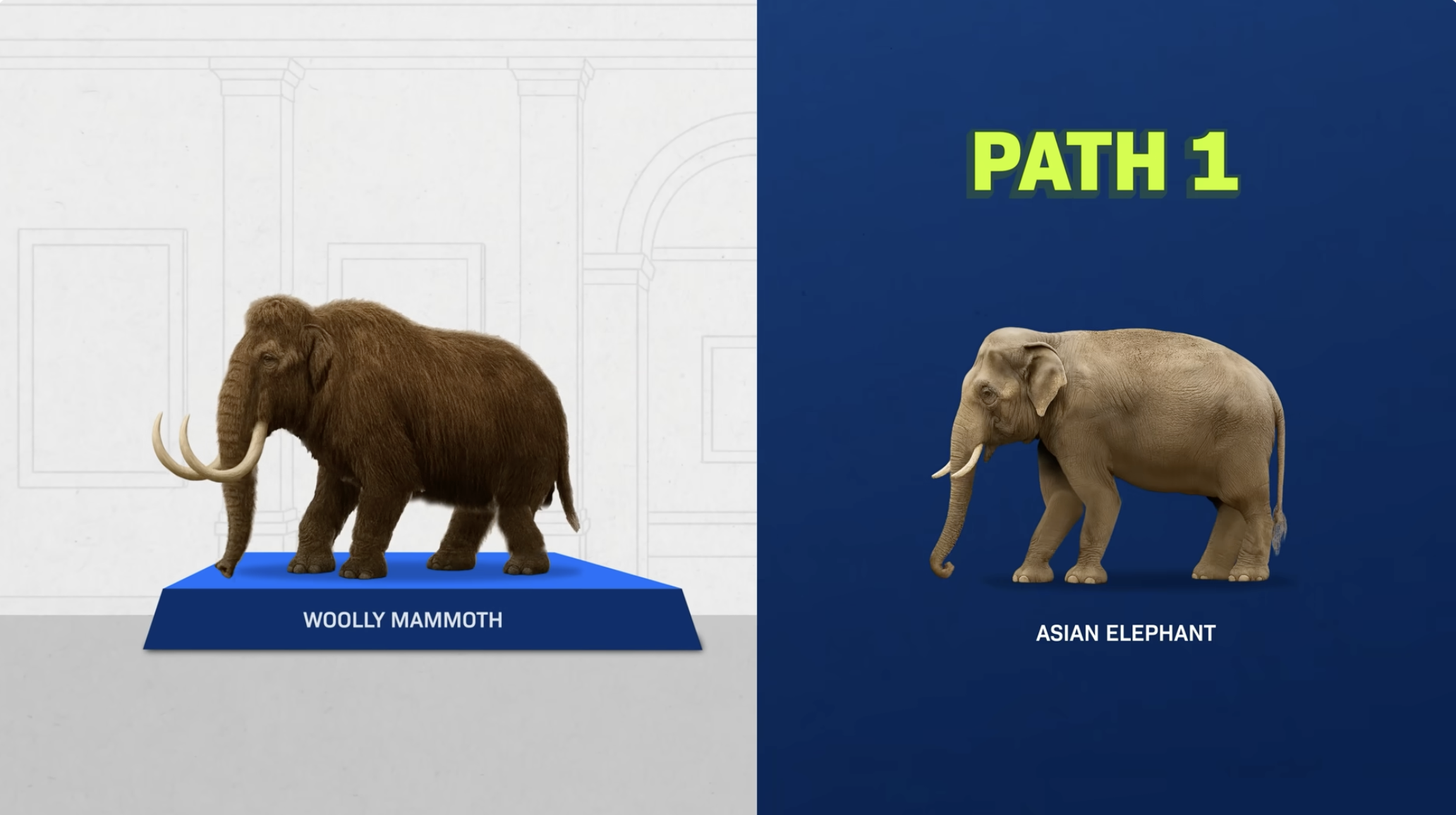 The Real Reason We Should Revive Extinct Animals