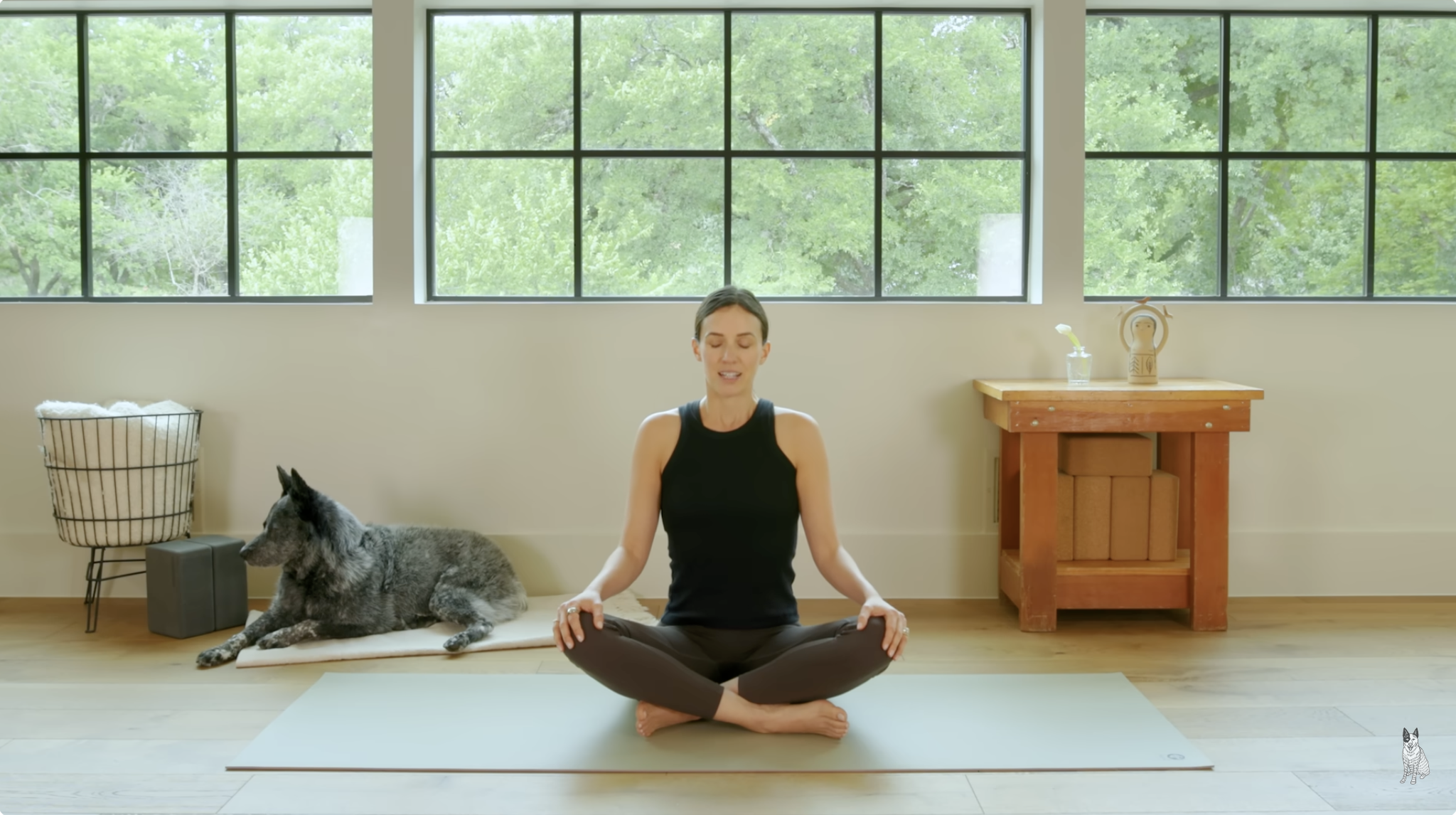 Upper Back and Neck Mobility | 13-Minute Yoga Practice