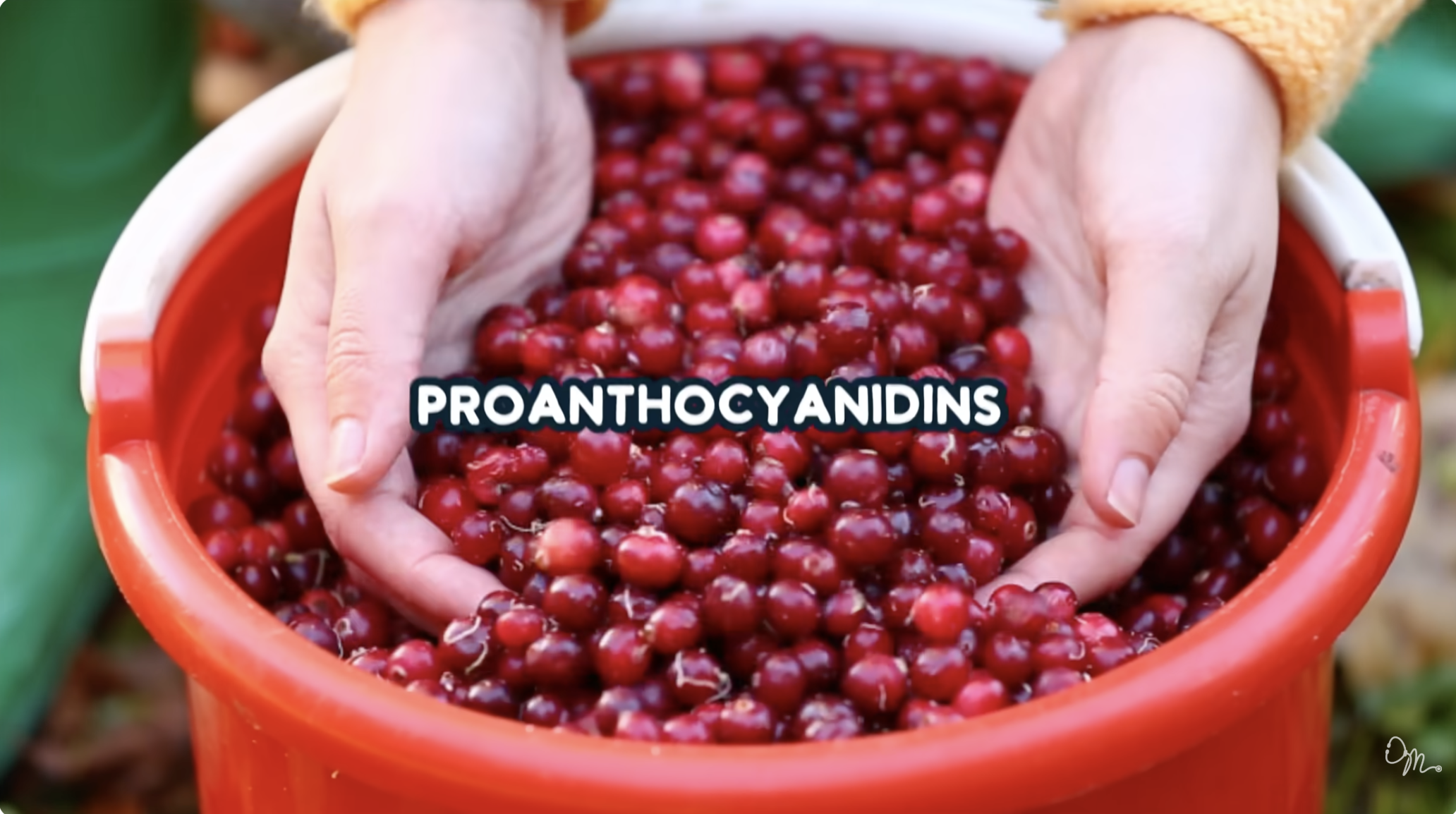Natural Cures That Actually Work
