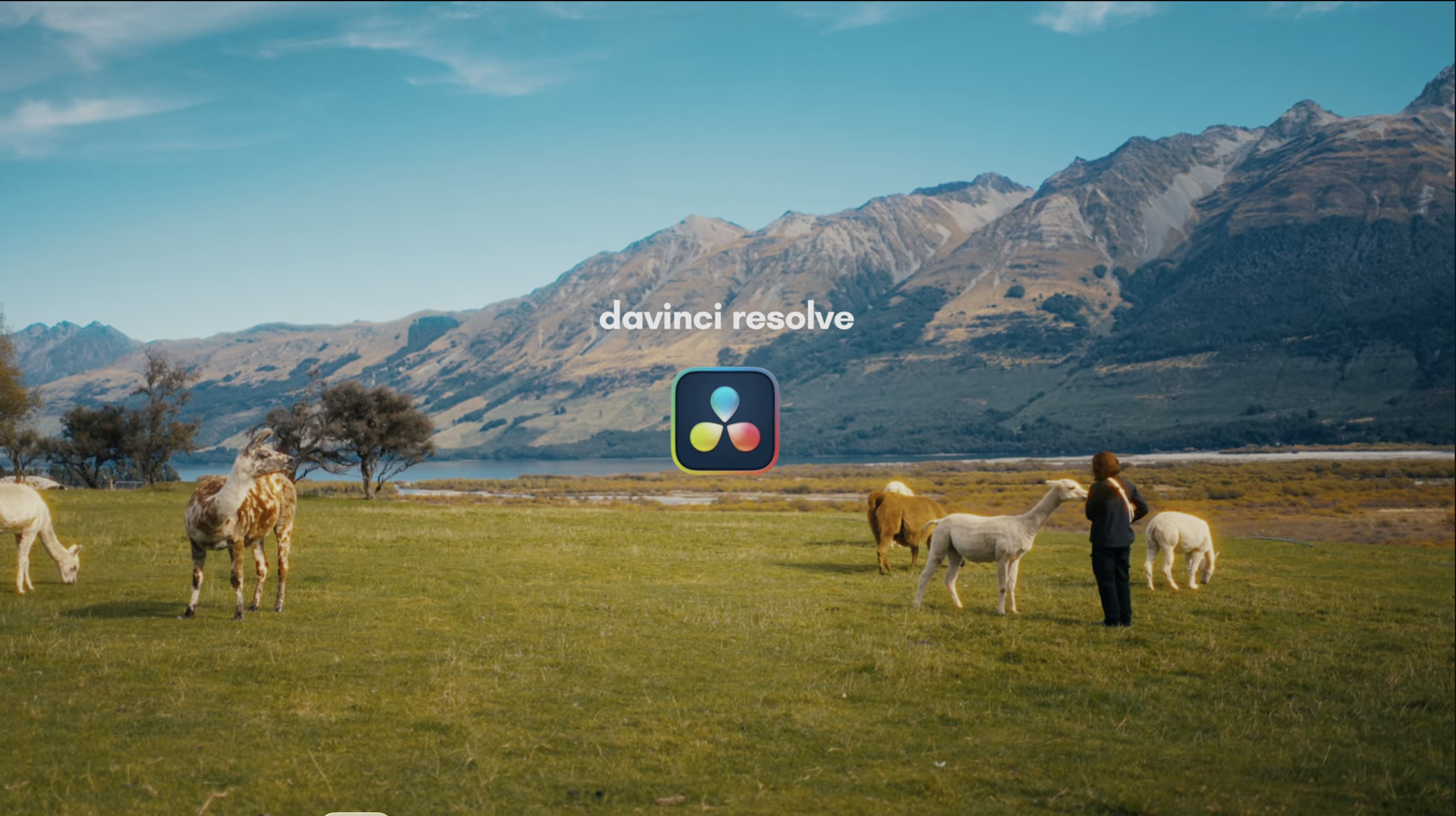 Color Grade your Videos with our FREE Power Grade